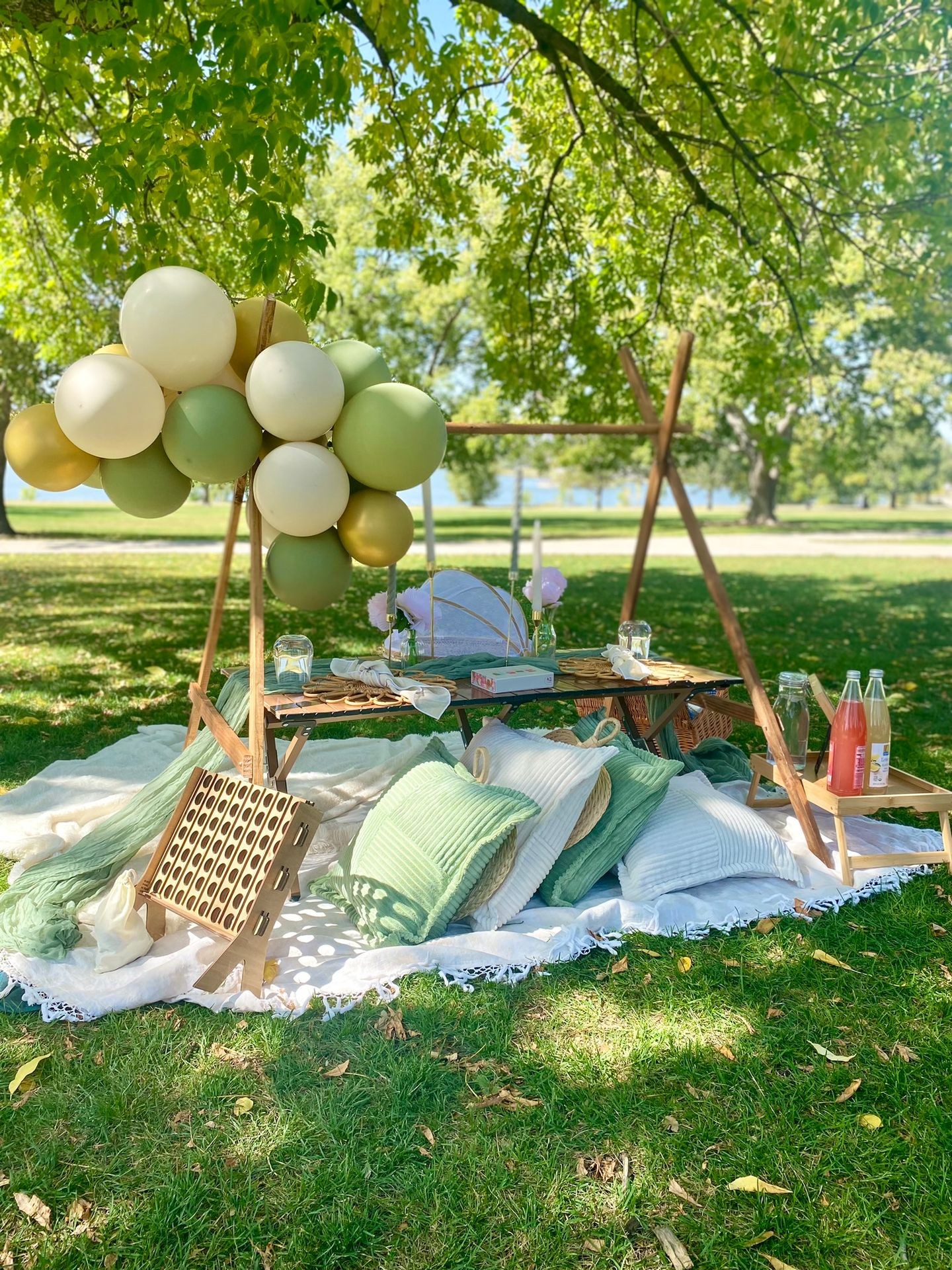 Beautiful picnic setup in Denver, CO for an engagement and elopement